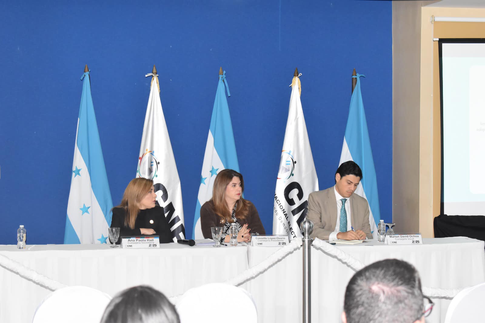 Congreso y CNE: los frentes donde LIBRE concentra poder en Honduras