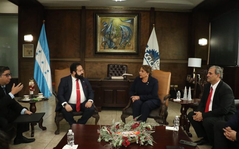 Señalamientos contra Luis Redondo por no cumplir la ley en renuncia del CNE