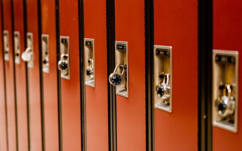 Efectos de la corrupción en el funcionamiento de los servicios públicos